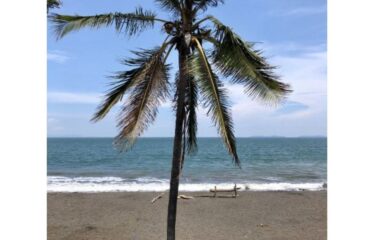 HOTEL FOR SALE IN PUNTARENAS