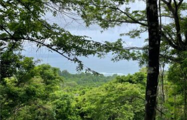 MAL PAIS OCEAN AND MOUNTAIN VIEW CABO BLANCO