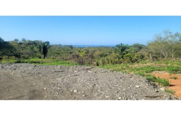 Breathtaking Ocean-View Lot in Esterillos, Costa Rica