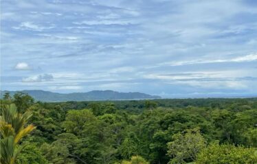 OCEAN VIEW AND MOUNTAIN VIEW LUXURY HOME WITH GUEST HOUSE