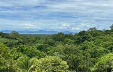 OCEAN VIEW AND MOUNTAIN VIEW LUXURY HOME WITH GUEST HOUSE