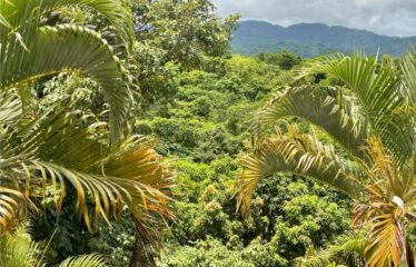 OCEAN VIEW AND MOUNTAIN VIEW LUXURY HOME WITH GUEST HOUSE