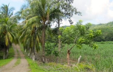 FOR SALE Beautiful Farm in Jicaral, Puntarenas