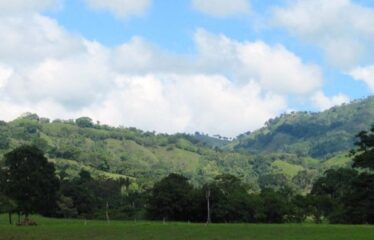 FOR SALE Beautiful Farm in Jicaral, Puntarenas