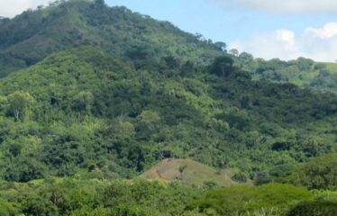 FOR SALE Beautiful Farm in Jicaral, Puntarenas