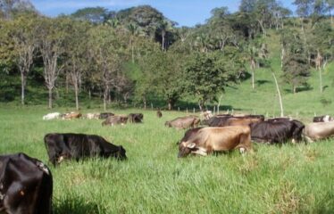 FOR SALE Beautiful Farm in Jicaral, Puntarenas