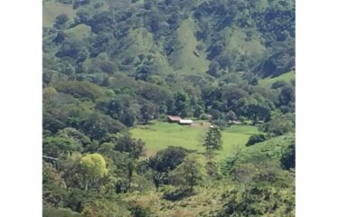 FOR SALE Beautiful Farm in Jicaral, Puntarenas