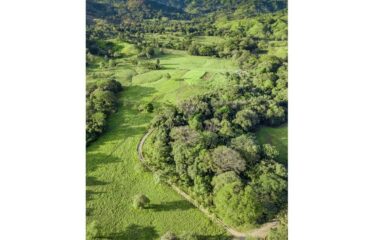 FOR SALE Beautiful Farm in Jicaral, Puntarenas