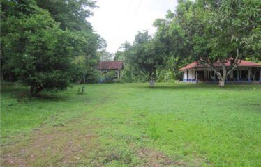 FOR SALE Beautiful Farm in Jicaral, Puntarenas