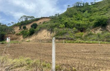 Lot for sale in Jaco