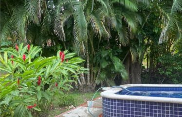 Pool House in Punta Leona