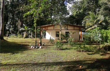 Mountain Rural House