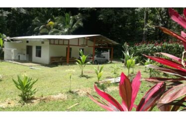 Mountain Rural House