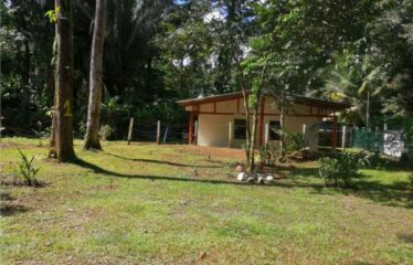 Mountain Rural House