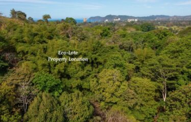 BEAUTIFUL LOT IMMERSED IN NATURE 5 MINUTES FROM THE CENTER OF JACO