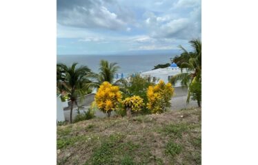 leonamar high lot