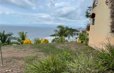 leonamar high lot