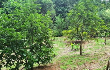 Terreno en Bijagual con un río que cruza la propiedad!