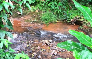 Terreno en Bijagual con un río que cruza la propiedad!