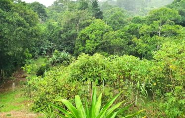 Terreno en Bijagual con un río que cruza la propiedad!