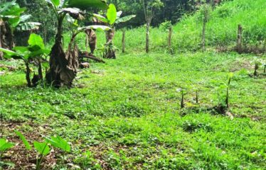 Terreno en Bijagual con un río que cruza la propiedad!